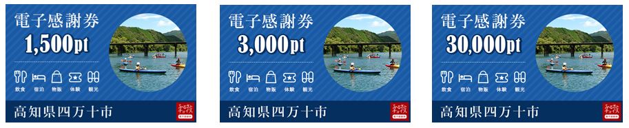１．四万十市に寄附のお礼の品として「ふるさとチョイス 電子感謝券」を選択して寄附をする