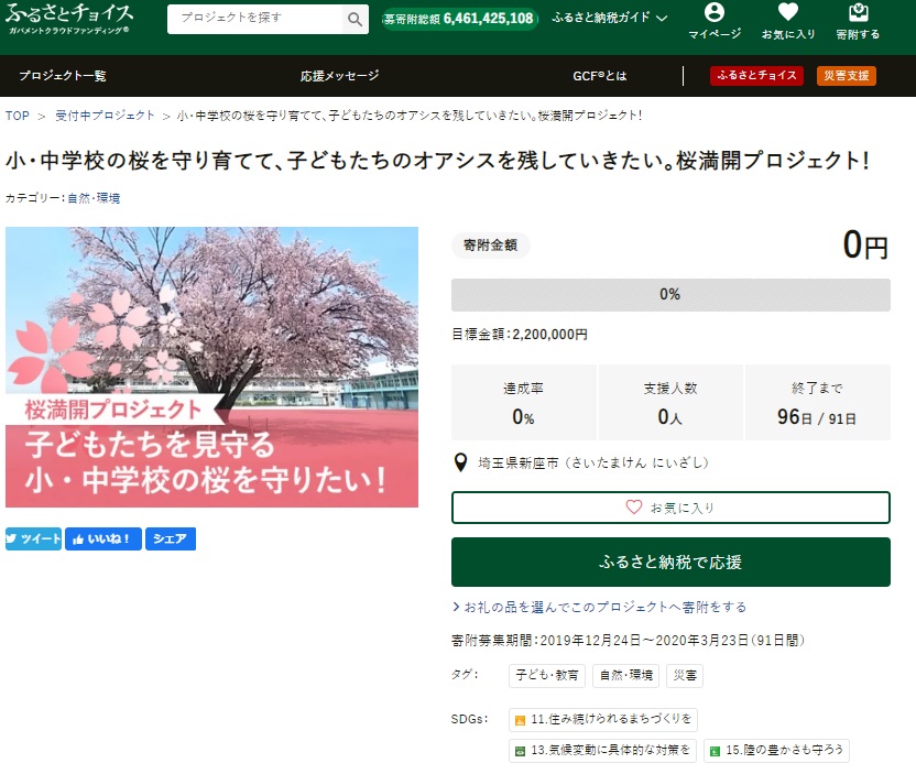 GCF「小・中学校の桜を守り育てて、子どもたちのオアシスを残していきたい。桜満開プロジェクト！」