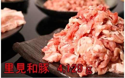 【給食だけでなくホテルキャンセルの影響も】千葉県南房総市・里見和豚の重光 里見和豚良い肉（4,129g）