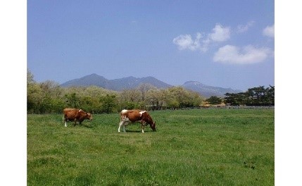 栃木県 那須町/那須高原　南ヶ丘牧場 那須高原 南ヶ丘牧場 お買物・レジャー券