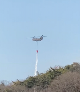 トラストバンク、神奈川県鎌倉市が「ふるさとチョイス 災害支援」において、足利市山林火災で被害を受けた栃木県足利市の代理寄付受付を開始